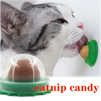 Beslenme Kedi Catnip Topu tozluk Yuvarlak Güvenli Catnip Aperatif Yalamak Şeker Vitamin Puding Catnip Lolipop Kedi Yavru Ragdoll