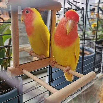 Kuş Ayna Levrek Kuş Levrek Ayna Oyuncak Standı Kuş Oyuncak Papağan Parakeets Cockatiels Kafesi Yüksek Kaliteli Dayanıklı Malzemeleri
