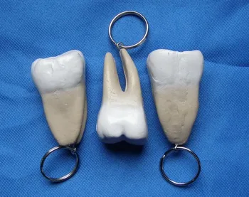 diş Anahtar Zincirleri aksesuarları diş modeli ücretsiz kargo