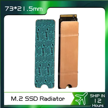 Bakır M. 2 SSD radyatör 2280 katı hal sürücü ısı emici dizüstü dizüstü masaüstü için + 5 W/mk Termal ped SN550 970 EVO RD20 Vb