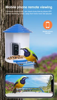 2MP 1080P ıCam365 App Pil Gücü Düşük Emme Besleme See Kuş IP Kamera AI İnsansı Algılama İzle Kuş Monitör