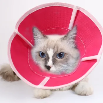 Pet Anti Yalamak Yaka Kedi Boyun Daire Pet Bakım Cerrahi Yara Şifa Malzemeleri Daire Koruyucu Kapak Boyun Koni